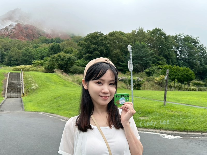 試用